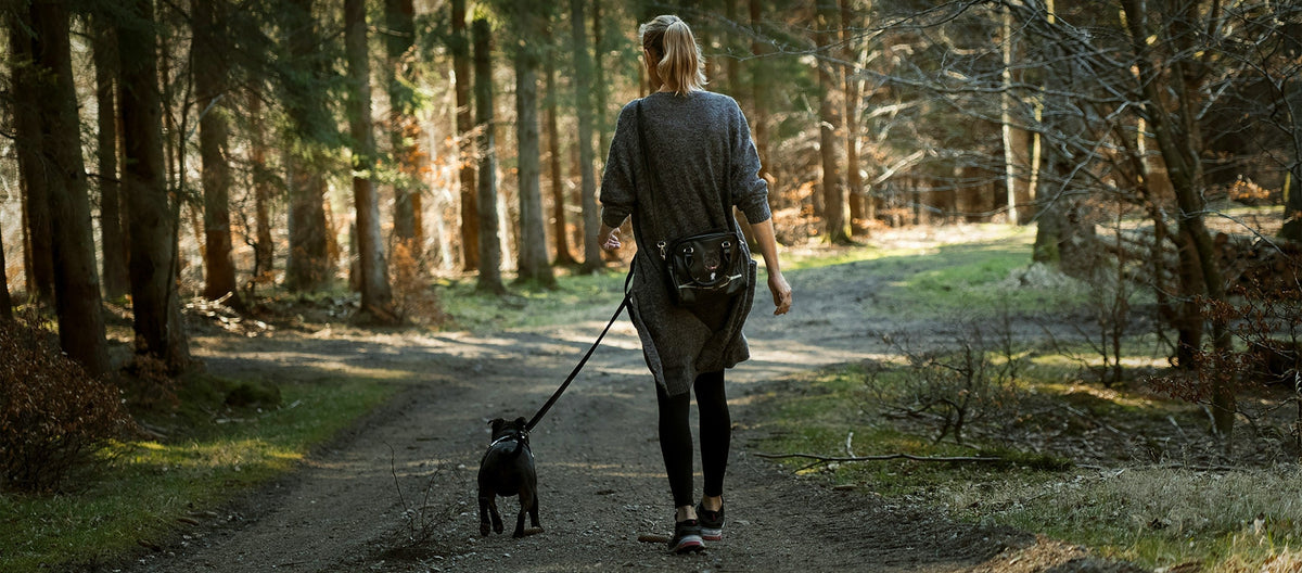 Vandring med hund i Skåne: Regler och Tips