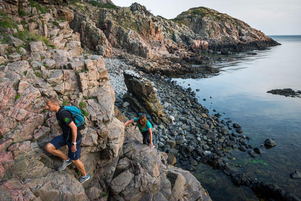 Landskap vid Kullabergs kust